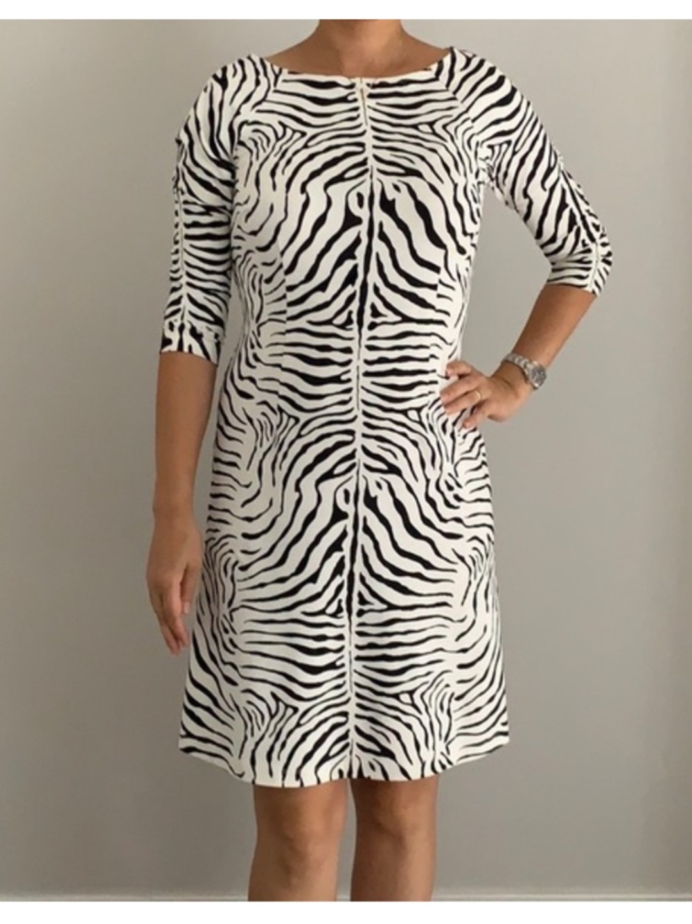 J.McLaughlin Zebra Print Catalina Cloth Shift Dress - 3/4 Sleeve - Size L